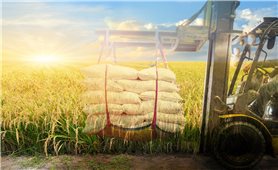 Doanh nghiệp ngành gạo đón “trợ lực” từ Ngân hàng TMCP Bắc Á