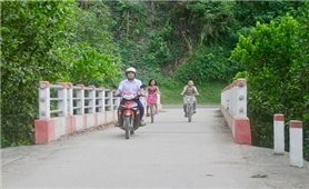 Thái Nguyên: Những con đường mở lối thoát nghèo cho đồng bào vùng sâu Phú Lương