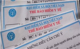 Điện Biên: Dừng in thẻ BHYT giấy đối với người hưởng trợ cấp thất nghiệp và người tham gia BHXH, BHYT bắt buộc