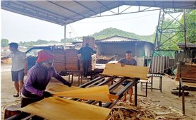 Hà Giang: Gần 30 nghìn lao động được giải quyết việc làm trong năm 2023