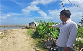 Quảng Nam: Dân thấp thỏm lo biển “nuốt” nhà