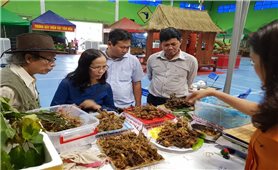 Quảng Nam: Phiên chợ sâm Ngọc Linh sẽ mở cửa đúng dịp Tết dương lịch 2024