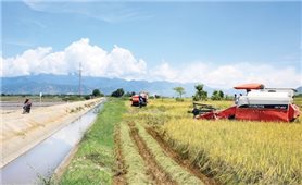 Ninh Thuận: Giải quyết tình trạng thiếu đất ở, đất sản xuất cho vùng đồng bào DTTS&MN