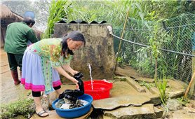 Hiệu quả vốn vay Chương trình nước sạch và vệ sinh môi trường nông thôn
