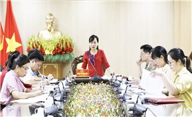 Phú Thọ: Thẩm tra các báo cáo thuộc lĩnh vực dân tộc sẽ trình tại Kỳ họp thứ 6, HĐND tỉnh khóa XIX