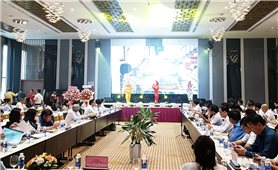 Bình Định: Tổ chức “Hội nghị liên kết, hợp tác và kích cầu phát triển du lịch năm 2023”