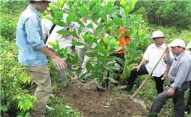 Ban Dân tộc Bắc Giang: Tập huấn chuyển giao Khoa học - kỹ thuật cho Nhân dân
