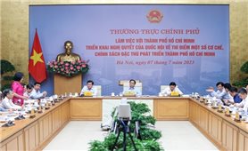 Triển khai Nghị quyết của Quốc hội thí điểm một số cơ chế, chính sách đặc thù phát triển TP. Hồ Chí Minh
