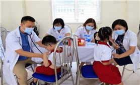 Bình Định: Tăng cường thực hiện bảo hiểm y tế học sinh, sinh viên năm học 2023 - 2024