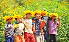 Gia Lai tổ chức Tuần lễ hoa dã quỳ - núi lửa Chư Đang Ya vào tháng 11