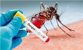 Hướng dẫn chăm sóc người bệnh sốt xuất huyết