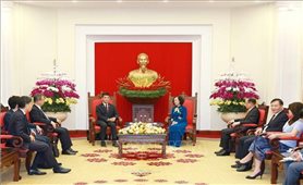 Quan hệ Việt Nam-Nhật Bản sẽ tiếp tục phát triển toàn diện và thực chất