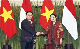 Chủ tịch Quốc hội Vương Đình Huệ hội đàm với Chủ tịch Hội đồng Đại biểu nhân dân Indonesia Puan Maharani