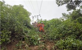 PC Điện Biên nỗ lực khắc phục sự cố trong mưa dông