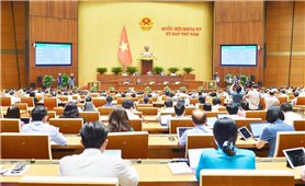 Kỳ họp thứ 5, Quốc hội Khóa XV: Quốc hội thông qua Luật Bảo vệ quyền lợi người tiêu dùng (sửa đổi)