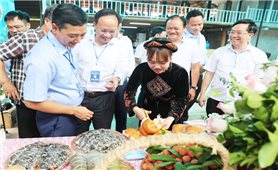 Tinh hoa trái cây Việt - Đặc sản Việt Nam đạt kỷ lục châu Á