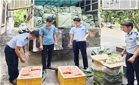 Bắc Ninh: Tạm giữ gần 3 tấn thịt vịt và trứng gà non đông lạnh