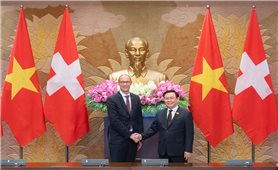 Việt Nam coi trọng quan hệ hữu nghị, hợp tác truyền thống với Thụy Sĩ