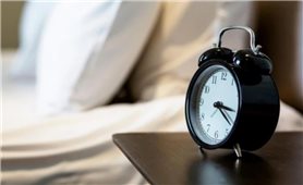 Giấc ngủ trưa giúp cho não bộ con người phát triển khỏe mạnh
