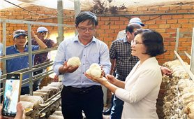 Ban Dân tộc tỉnh Quảng Ngãi tổ chức đoàn đi học tập kinh nghiệm tại các địa phương