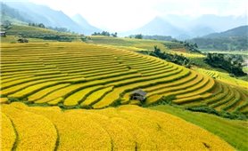 Vịnh Hạ Long và Sa Pa là 2 địa danh của Việt Nam lọt top 7 điểm đến thịnh hành thế giới