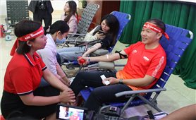 Đắk Lắk: Tiếp nhận 1.242 đơn vị máu trong ngày “Chủ nhật đỏ”