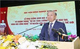 Đại học phải là một thực thể quan trọng trong hệ thống đổi mới sáng tạo quốc gia