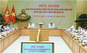 Chính phủ đặc biệt quan tâm, tích cực chuẩn bị các dự án luật, nghị quyết trình Quốc hội