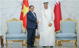 Thông cáo chung giữa Việt Nam và Qatar