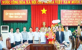 Gia Lai chấp thuận chủ trương đầu tư dự án Nhà máy may và gia công chế biến gỗ hơn 35,6 tỷ đồng