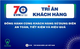 Tập đoàn Điện lực Việt Nam (EVN): Đồng hành cùng khách hàng sử dụng điện an toàn, tiết kiệm và hiệu quả