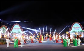 Vĩnh Long: Khai mạc Festival Gạch Gốm đỏ - Kinh tế xanh lần I