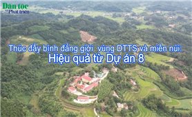 Thúc đẩy bình đẳng giới ở vùng đồng bào DTTS và miền núi: Hiệu quả từ Dự án 8