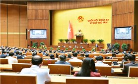 Số vụ vi phạm pháp luật năm 2024 tăng 12,53%