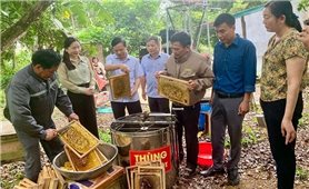 Thúc đẩy mạnh mẽ tinh thần khởi nghiệp trong nông dân xứ Thanh