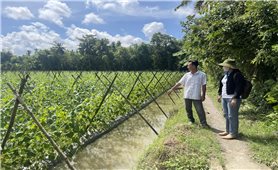 Kiên Giang: Những đổi thay của vùng đồng bào DTTS nhìn từ điều tra thực trạng kinh tế - xã hội của 53 DTTS