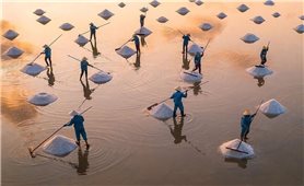 Nghề làm muối Sa Huỳnh trở thành Di sản văn hóa phi vật thể quốc gia