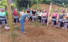 Nhận diện thực trạng kinh tế - xã hội theo điều tra phiếu xã: Nhìn lại công tác đào tạo nghề (Bài 6)