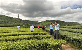 Văn Lãng (Lạng Sơn): Nâng cao kỹ năng tuyên truyền, vận động và phát triển kinh tế cho đội ngũ Người có uy tín