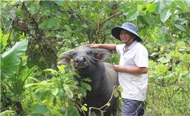 Người có uy tín “đa zi năng” trong vùng đồng bào dân tộc Gié Triêng