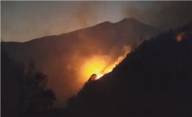 Tập trung lực lượng khống chế cháy rừng tại Sa Pa