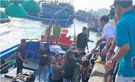 Quảng Ngãi: Tàu cá va chạm tàu hàng làm 1 người tử vong và 2 người mất tích