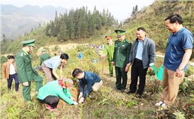 Toàn tỉnh Hà Giang trồng được hơn 566.000 cây xanh dịp Xuân Giáp Thìn năm 2024