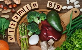 Vitamin B9 có vai trò gì trong cơ thể con người?