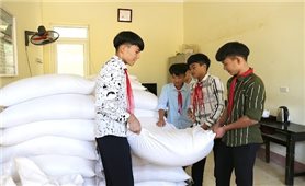 Bình Phước: Phân bổ hơn 102 tấn gạo hỗ trợ học sinh vùng đặc biệt khó khăn