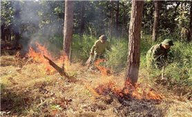 Đắk Lắk: Nguy cơ cháy rừng đang ở cấp nguy hiểm và cực kỳ nguy hiểm