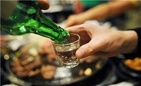 Bắc Giang: 3 người ở tử vong do uống phải rượu ngâm lá ngón