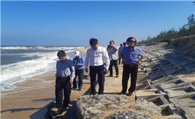 Quảng Nam: Đề nghị hỗ trợ 800 tỷ đồng để xây dựng kè chống sạt lở bờ biển Tam Thanh