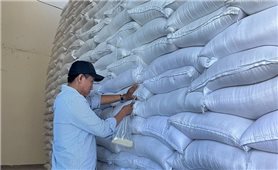 Hơn 746 tấn gạo hỗ trợ nhân dân Điện Biên và Bắc Kạn dịp giáp hạt đầu năm 2024