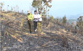 Đăk Tô (Kon Tum): Đốt rẫy cháy lan làm thiệt hại gần 9 ha rừng sản xuất